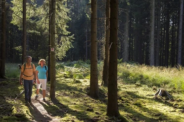 Auf der Traumschleife Saarhölzbachpfad