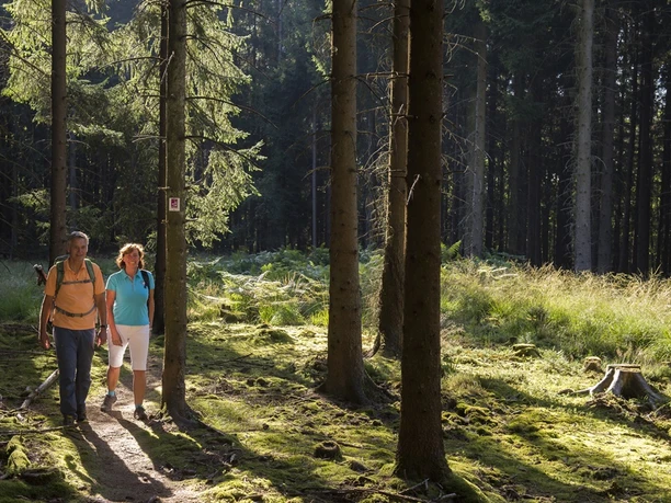 Auf der Traumschleife Saarhölzbachpfad