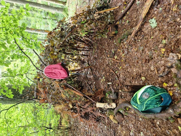 Waldlager (2)