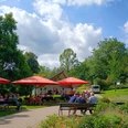 585848c7a18c2e10f65c3560f7584c398b64a47cb86b56b0c7cd6f309050.jpg Open-Air-Konzert im Park mit Bühne, roten Sonnenschirmen und Publikum auf Bänken