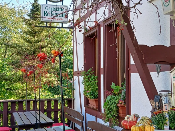 Kräutercafé Außenbereich mit Holzbänken, farbigen Sitzkissen, Kürbissen, Pflanzen und einem Brauereischild.