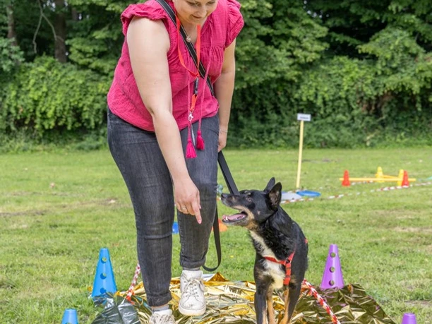 (c) Klaus Spielbuechler_Tierisches Outdoor-Vergnuegen .jpg