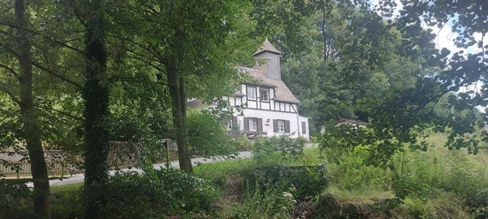Feld- und Mühlenbesichtigung ©Dr. Ralf Mauer.jpg