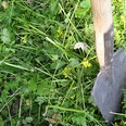 selected_csm_cropmiddle_IMG_2969_d1376a0341_01.jpg