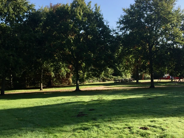 Folge 13 - Seekurpark-Baumgruppe (Waage, 2).jpeg