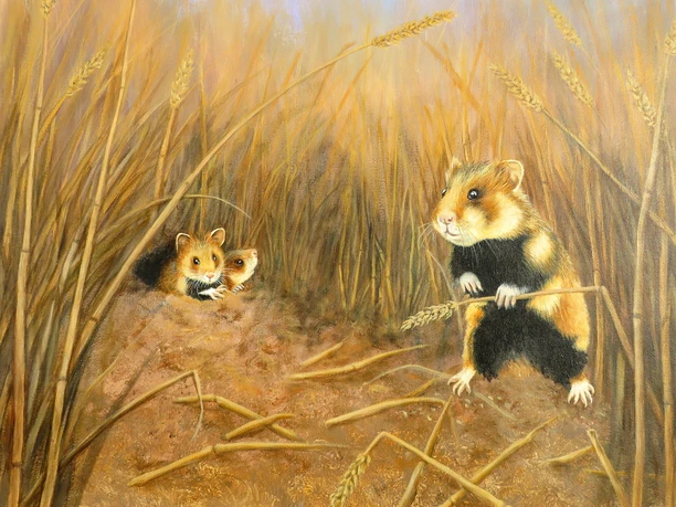 Hamster am Bau.jpg