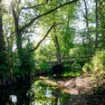 Foto von Harald Lemke