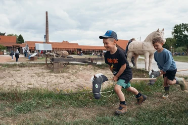 Museumsfest 2025-54.jpg