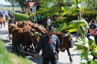 Festplatz_Tanner_Kuhball_@Günther_Gundlach.jpg