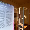 Ein Blick in die Sonderausstellung Die Toten von Wolfenbüttel im Schloss Museum.Foto_Andreas Greiner-Napp_Museum Wolfenbüttel.jpeg
