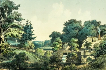 Der Sachsenwald