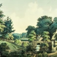 Der Sachsenwald