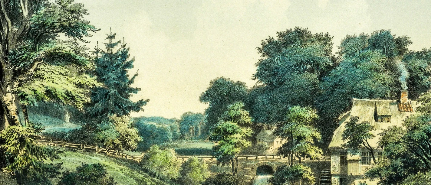 Der Sachsenwald
