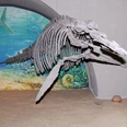 Ichthysaurier_Salder_HD_16zu9.jpg Skelett eines Ichthyosauriers, aufgehängt vor Wandmalereien, die eine prähistorische Unterwasserwelt darstellen.