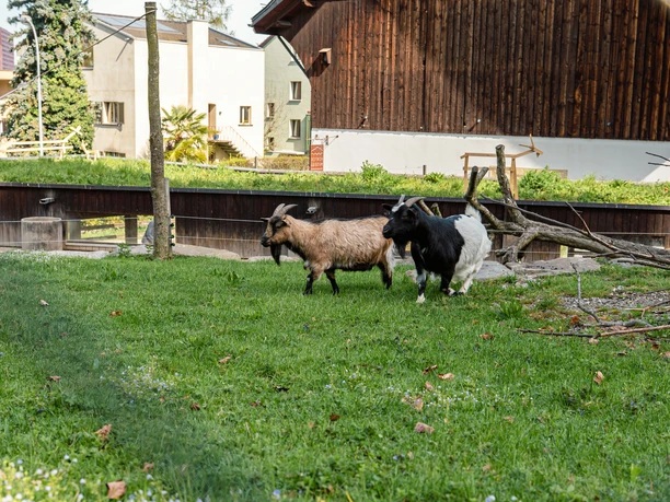 Hinter Musegg - der Kulturhof