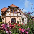 villa-blumenbeet02.jpg