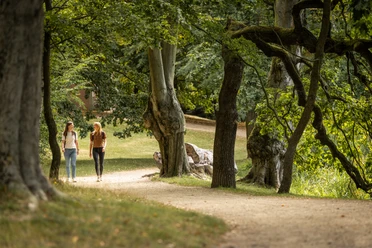 Schlosspark-Machern-Region-Leipzig-Natur-Spaziergang-Aktiv-Philipp-Herfort-Photography-leipzig-travel.jpg Zwei Spaziergängerinnen bewegen sich duch den Landschaftsgarten Machern mit den mystischen Baumverästelungen.