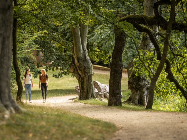 Deux promeneuses se déplacent dans le jardin paysager de Machern avec ses ramifications d'arbres mystiques.
