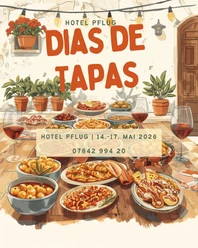Hotel Pflug Dias de tapas