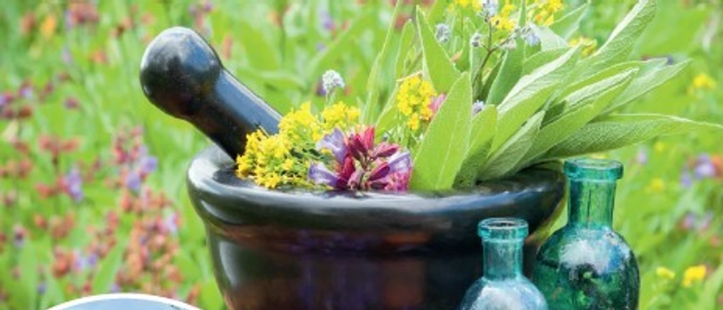 Kneipp-Touren