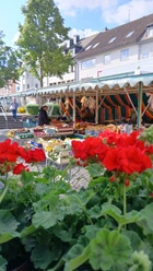 Markt.jpg