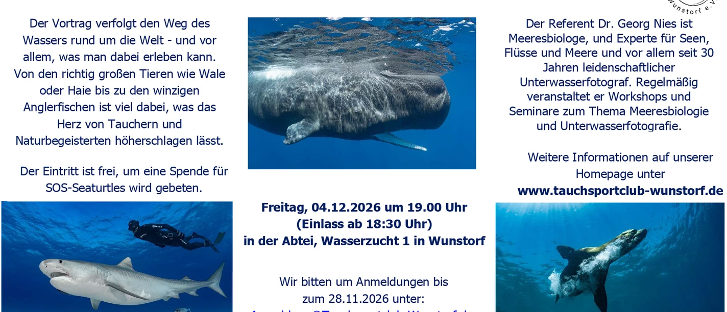 TSC - Vorankündigung 16x9 (002).jpg