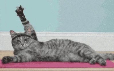 YogaAu.gif