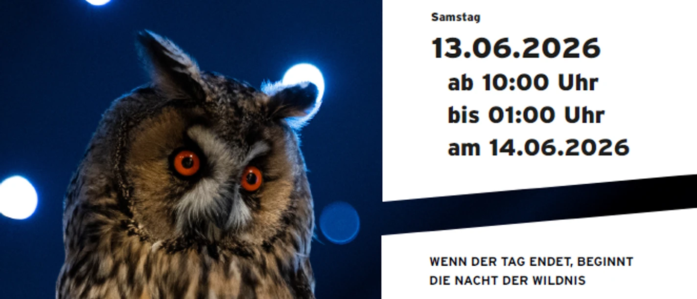 Nacht der Wildnis