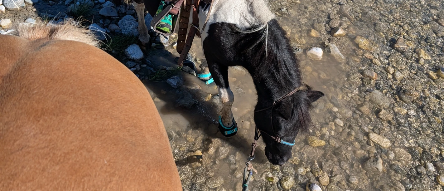 Cowboytag in Farchant
