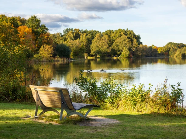 Mueden-Oertze-Heidesee-Herbst-ccbysa-Ploeger-251013-4755-korrigiert.jpg