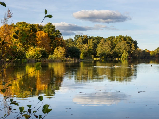 Mueden-Oertze-Heidesee-Herbst-ccbysa-Ploeger-251013-4764.jpg