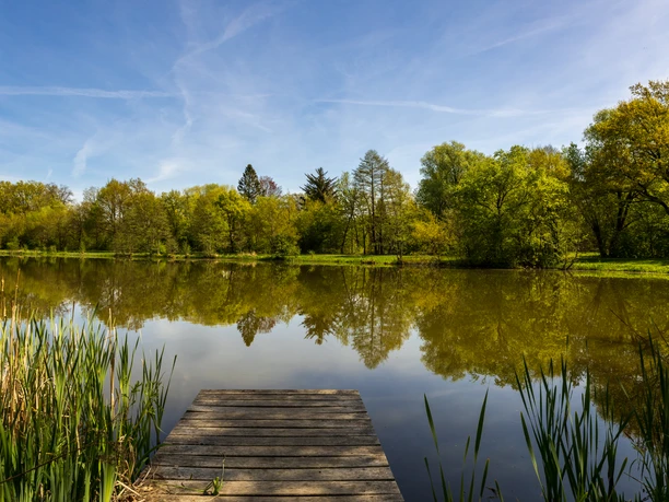 Mueden-Oertze-Fruehling-Heidesee-ccbysa-Ploeger-20250429-3918.jpg