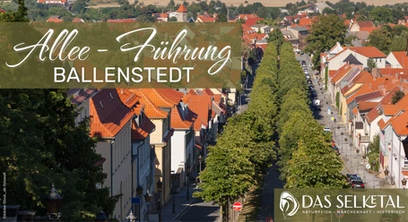 Allee-Führung Ballenstedt