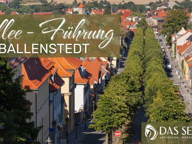 Allee-Führung Ballenstedt
