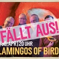 fb_ver_flamingos