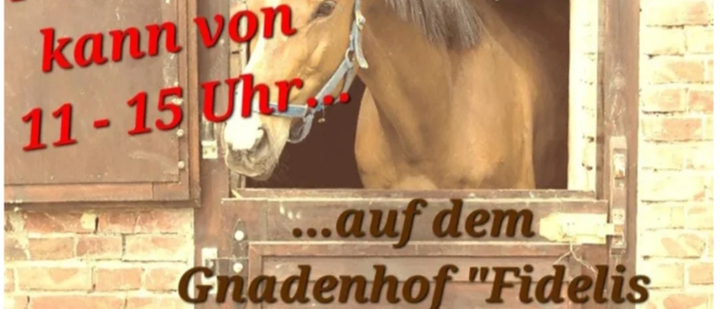 stallflohmarkt.png