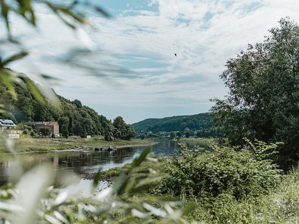 die Elbe liegt direkt vor der Haustür