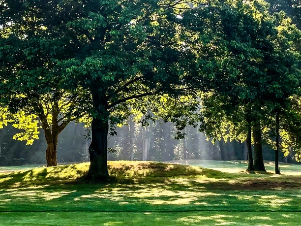 Baumbestandener Golfplatz mit Rasenflächen im Morgenlicht und langen Schatten