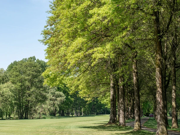 Golf-Club GT Golfplatz mit breitem Fairway und hohen Laubbäumen am Rand bei Sonnenschein