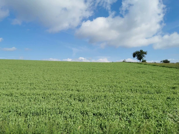 Gegenüber Wanderkarte Obernhain