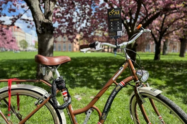 Devant les cerisiers en fleurs sur la Johannisplatz, à côté des musées GRASSI, se trouve un vélo de location marron de Cycle-Leipzig.