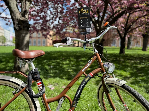Przed kwiatami wiśni na Johannisplatz, obok muzeów GRASSI, stoi brązowy rower wypożyczony z Cycle-Leipzig.