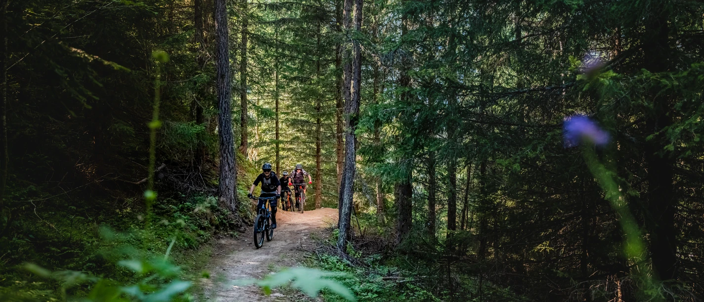 Fotograf Pfammatter Christian (7).jpg