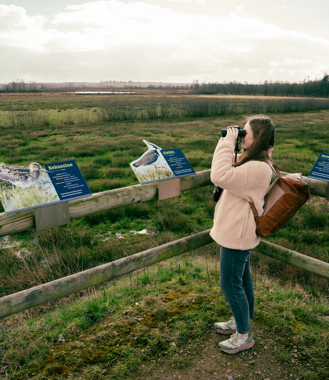 Frau beobachtet Vögel mit Fernglas an Infotafeln im Moorgebiet Theikenmeer.