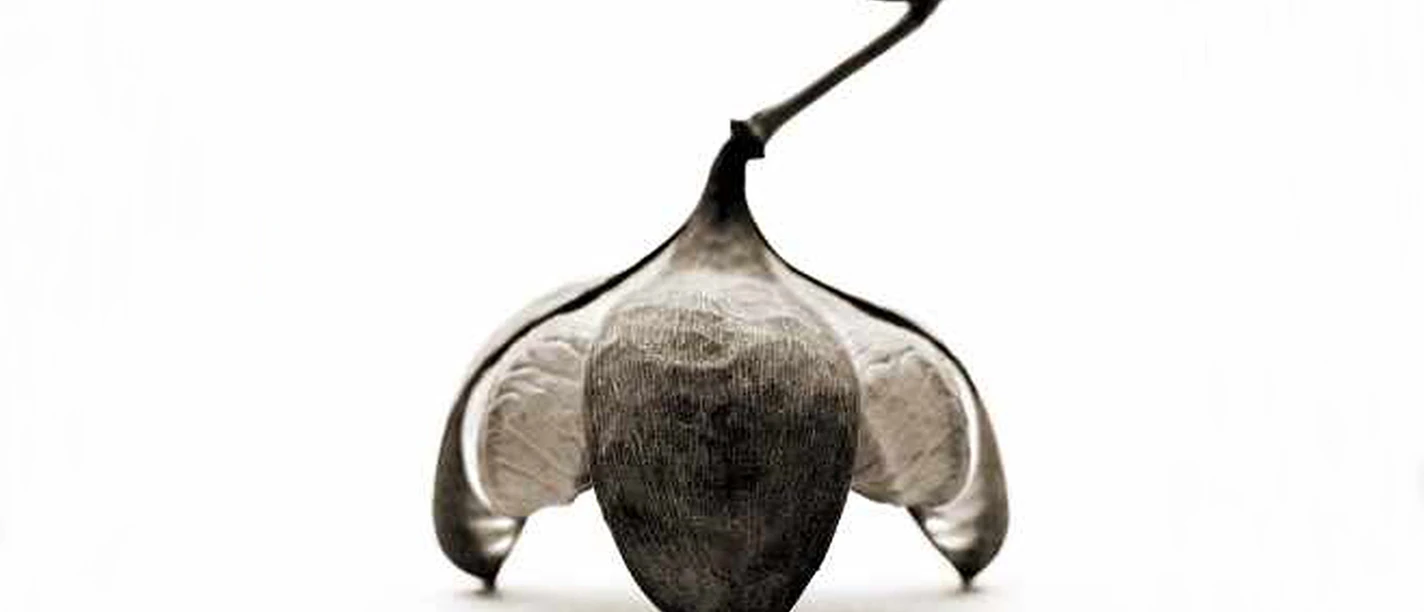 Semillas_Marl_Kulturium.jpg