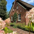 Torf- und Siedlungsmuseum.JPG Reetdachhaus aus Backstein im Torf- und Siedlungsmuseum hinter rosa Blüten.