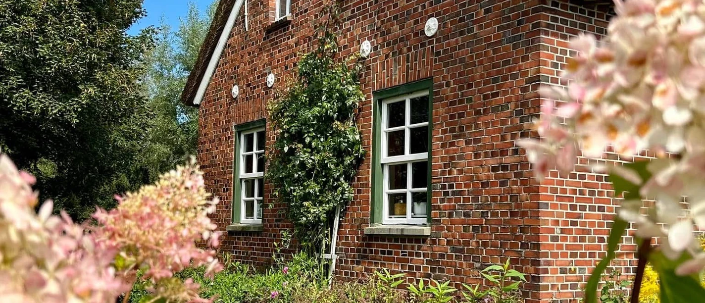 Torf- und Siedlungsmuseum.JPG Reetdachhaus aus Backstein im Torf- und Siedlungsmuseum hinter rosa Blüten.