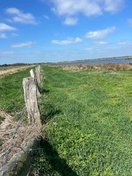 Wiesen am Steinhuder Meer bieten Raum für mehr Resilienz