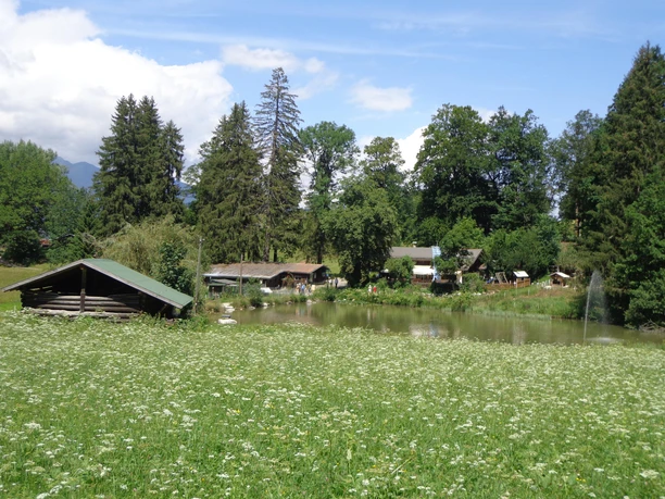 Almen-Rundtour