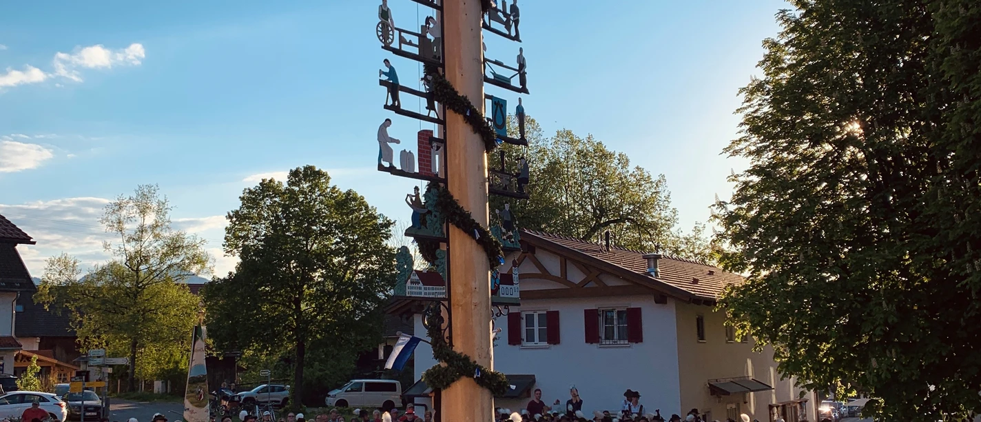 Maibaum 2025.jpg